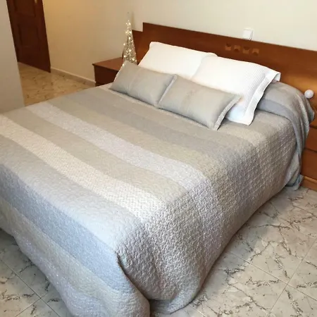 Service - Solà